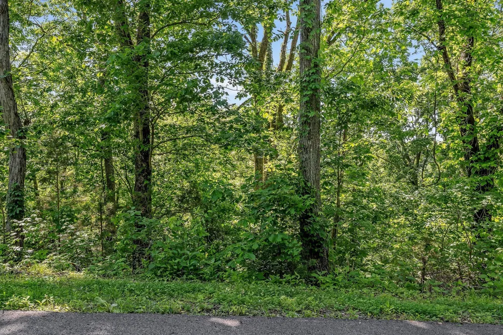 0 Harbor Pointe Silver Point, TN 38582