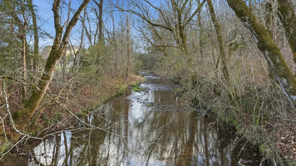 0 Cobb Hollow Rd Lynchburg, TN 37352