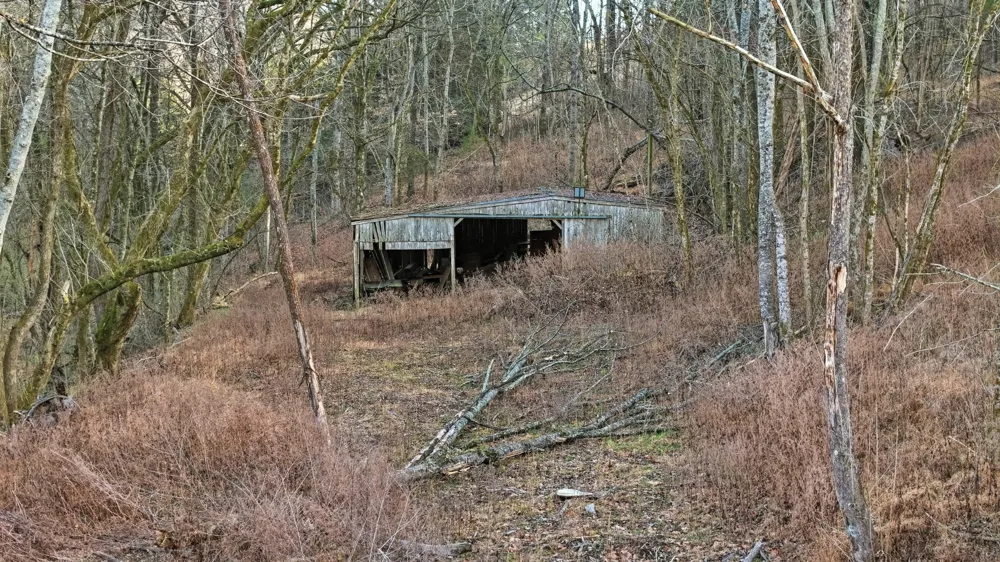0 Cobb Hollow Rd Lynchburg, TN 37352
