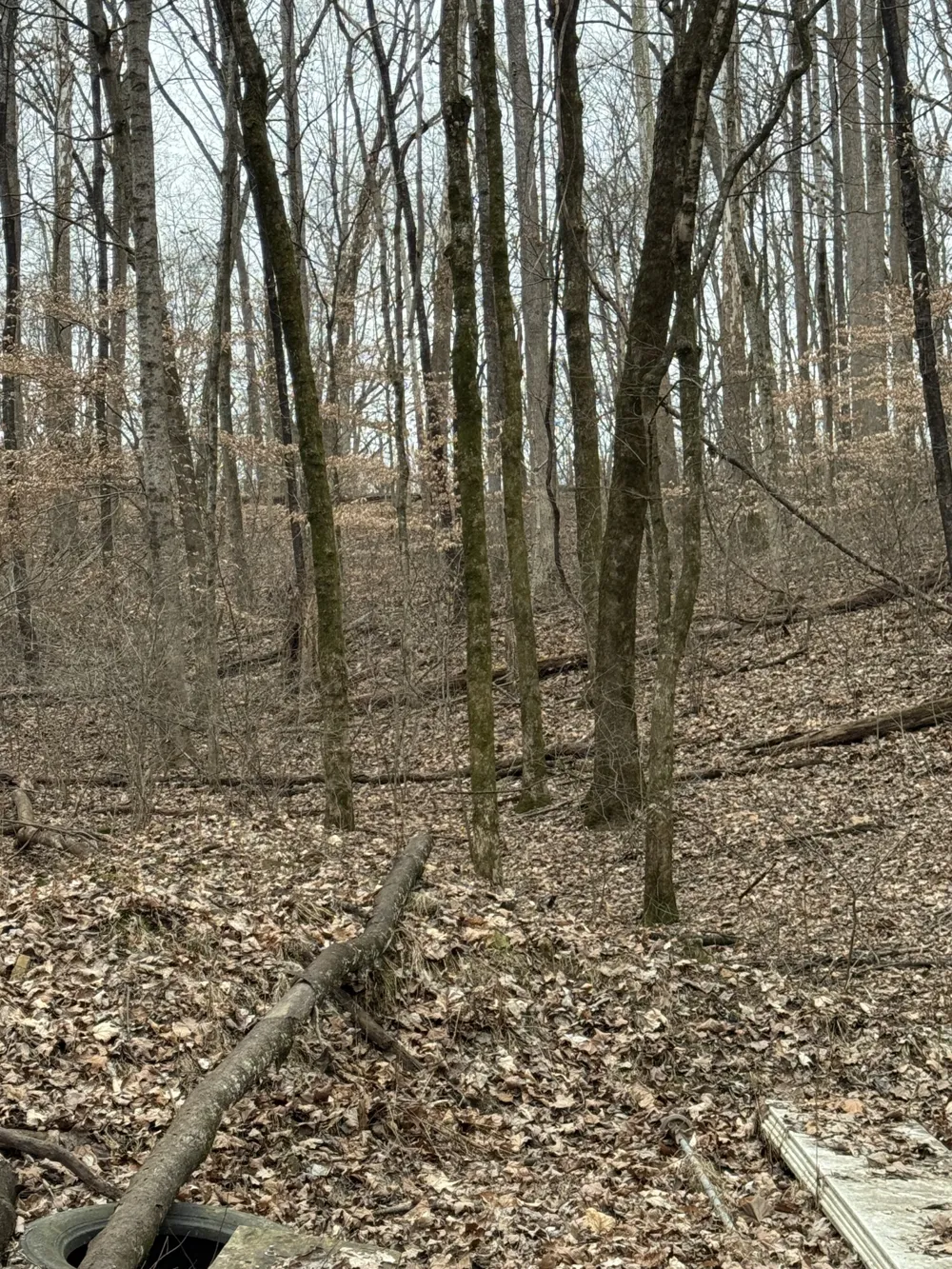 1843D Garrison Branch Rd Cottontown, TN 37048