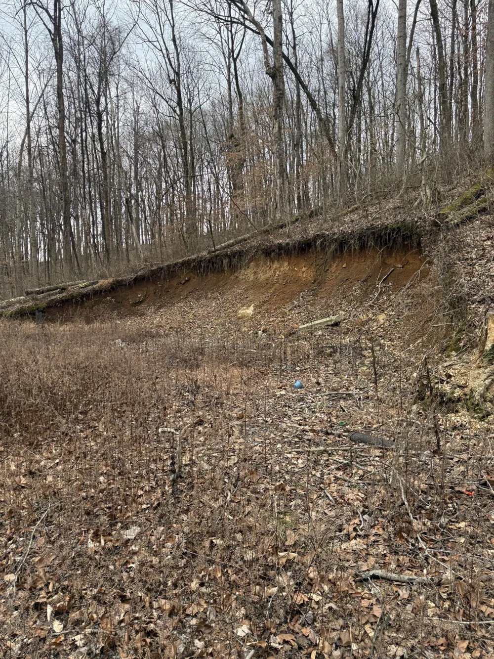 1843D Garrison Branch Rd Cottontown, TN 37048