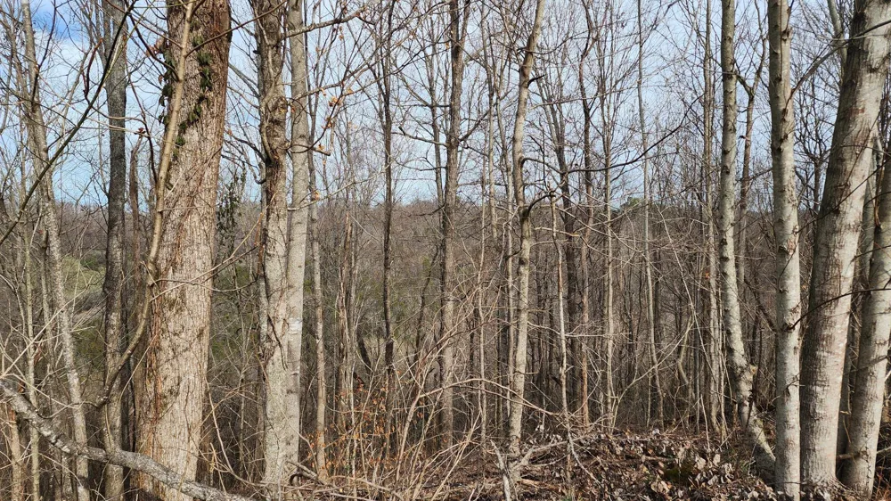 276 Schelley Rd Gainesboro, TN 38562