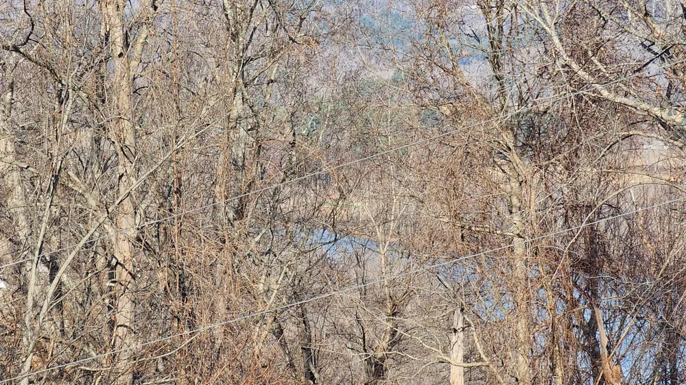 276 Schelley Rd Gainesboro, TN 38562