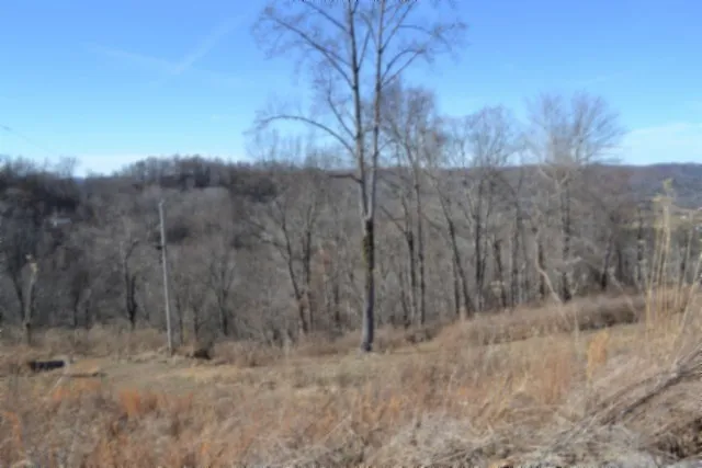 0 Schelley Rd Gainesboro, TN 38562