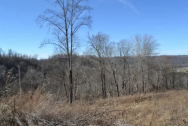 0 Schelley Rd Gainesboro, TN 38562
