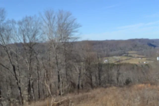 0 Schelley Rd Gainesboro, TN 38562