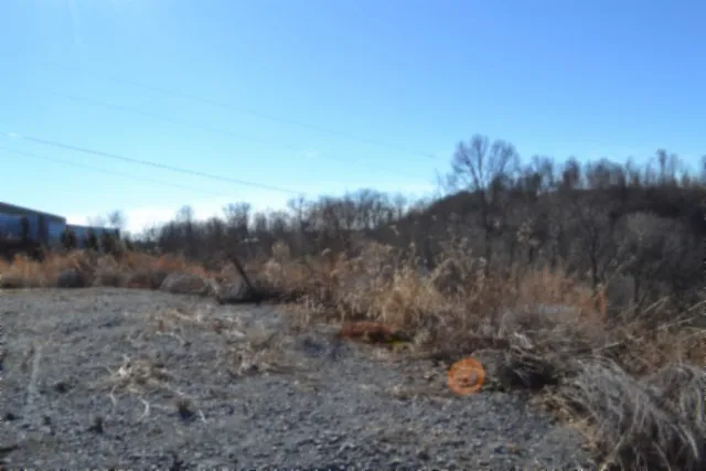 0 Schelley Rd Gainesboro, TN 38562