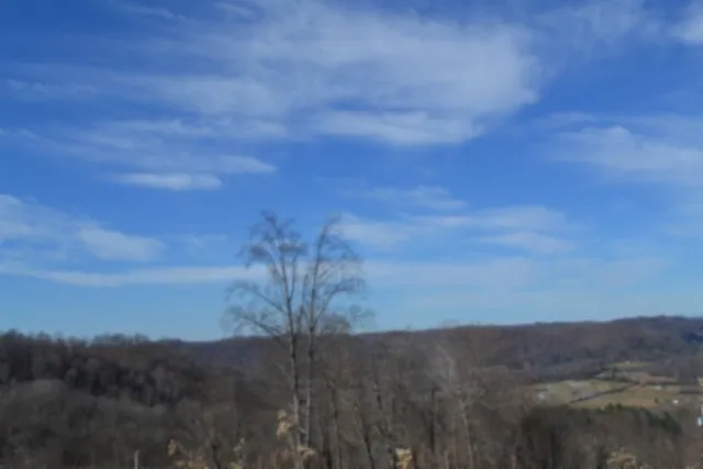 0 Schelley Rd Gainesboro, TN 38562