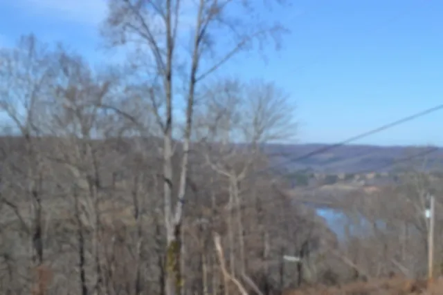 0 Schelley Rd Gainesboro, TN 38562