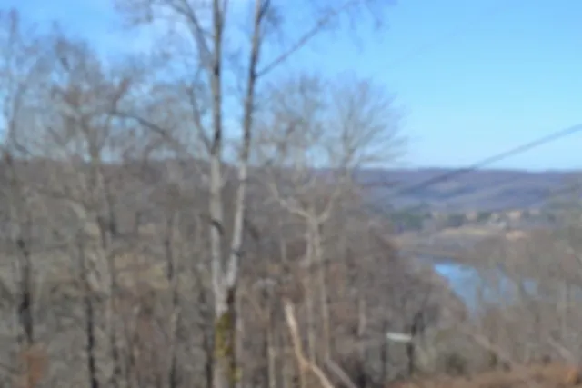 0 Schelley Rd Gainesboro, TN 38562
