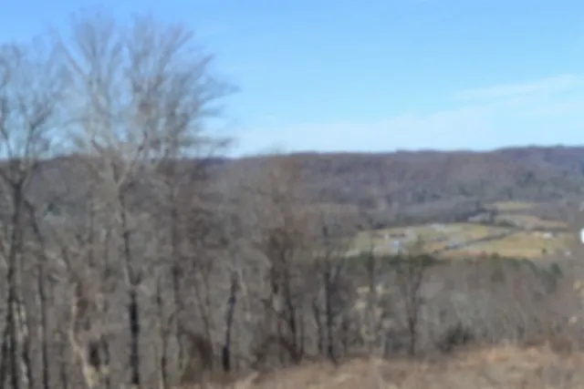 0 Schelley Rd Gainesboro, TN 38562