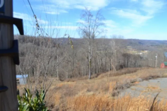 0 Schelley Rd Gainesboro, TN 38562