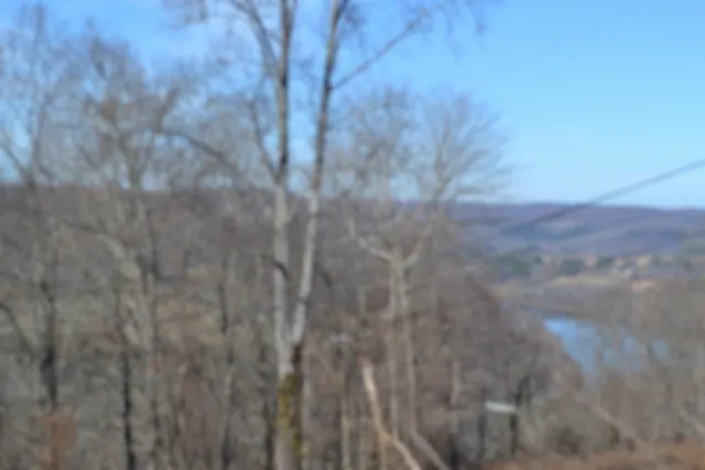 0 Schelley Rd Gainesboro, TN 38562