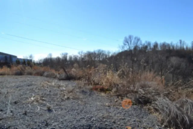 0 Schelley Rd Gainesboro, TN 38562