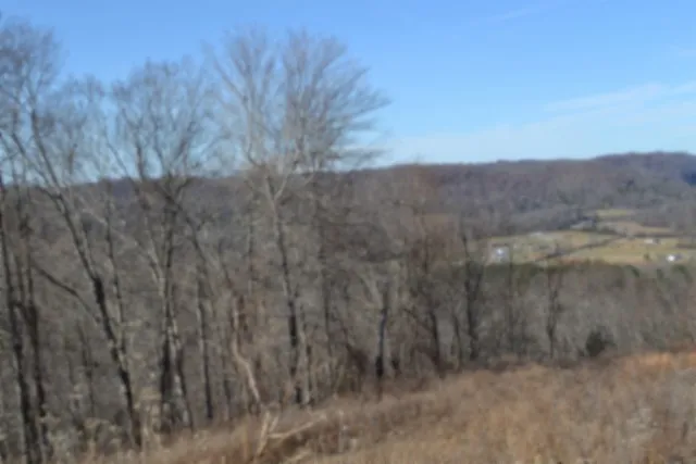 0 Schelley Rd Gainesboro, TN 38562