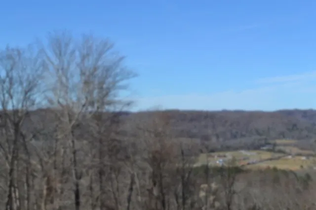 0 Schelley Rd Gainesboro, TN 38562