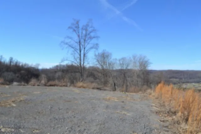 0 Schelley Rd Gainesboro, TN 38562
