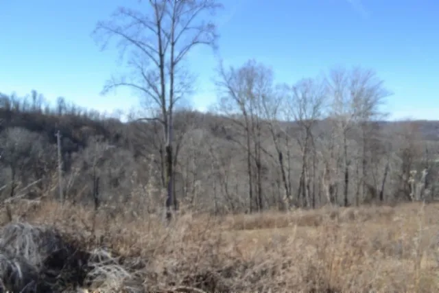 0 Schelley Rd Gainesboro, TN 38562