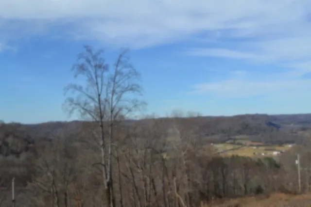 0 Schelley Rd Gainesboro, TN 38562