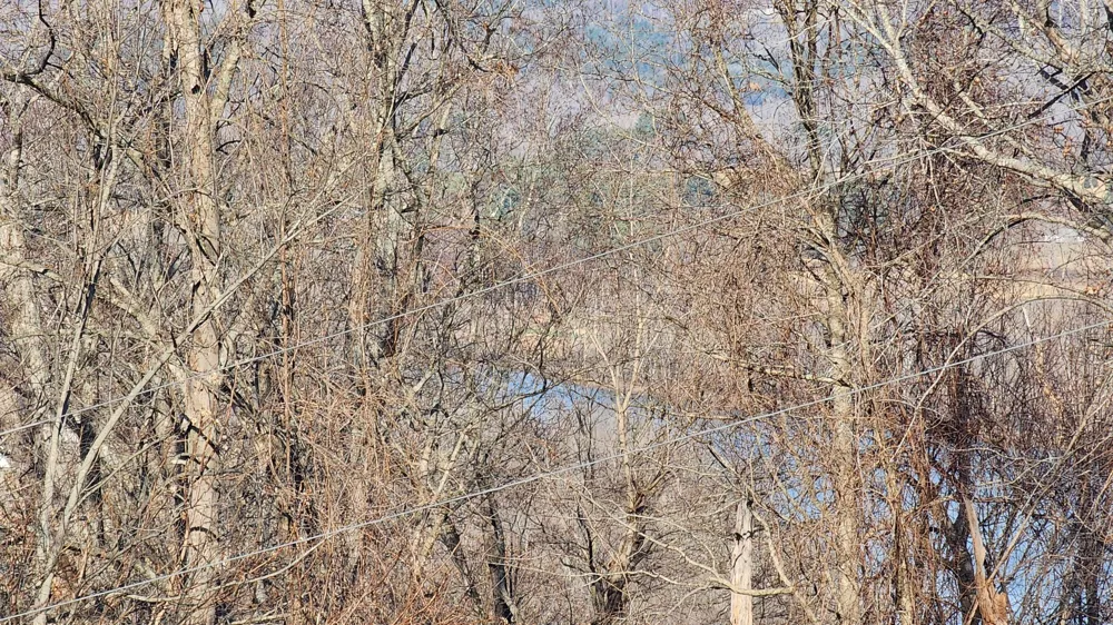 276 Schelley Rd Gainesboro, TN 38562