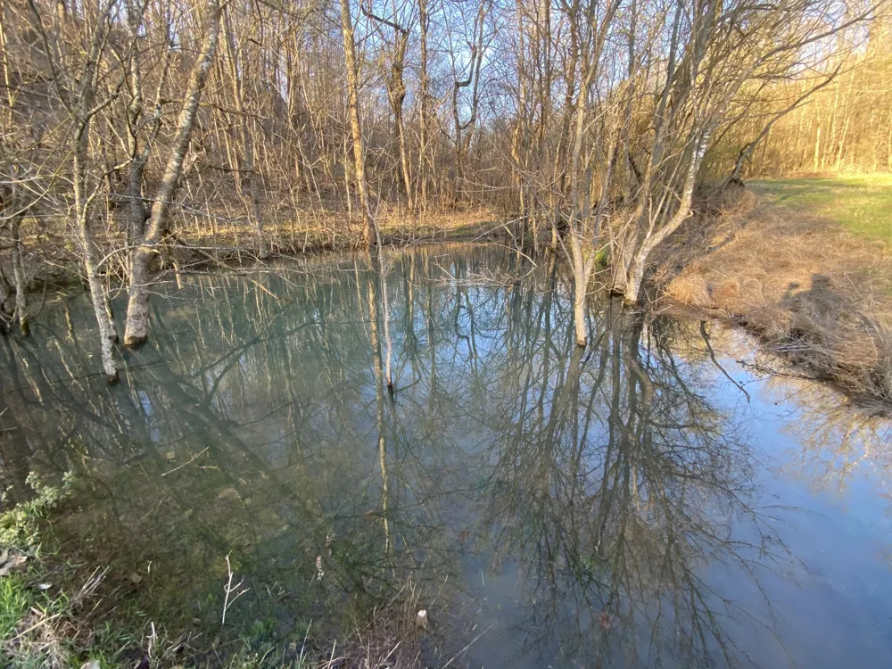 564 Mt Olive Cemetery Rd Lynnville, TN 38472
