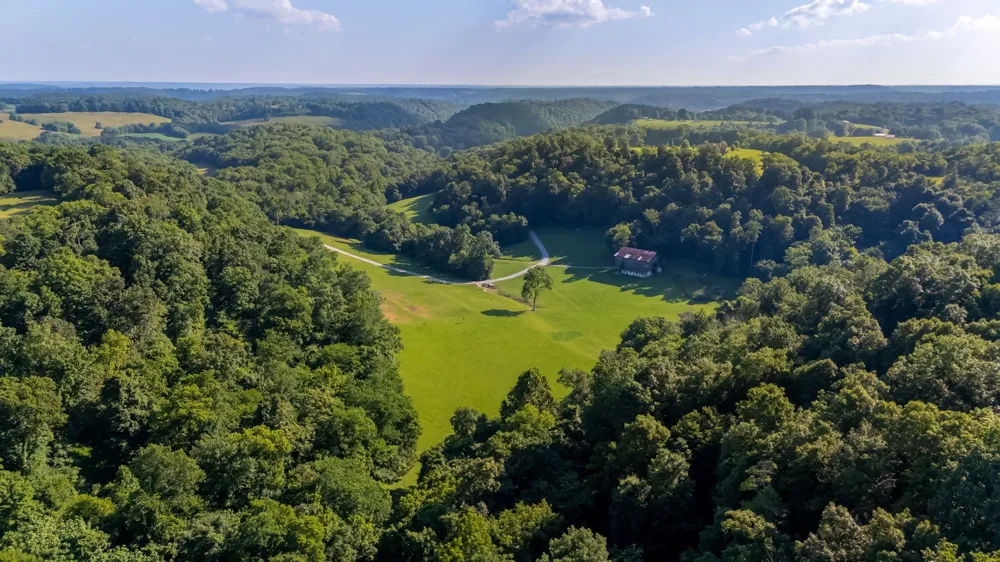 564 Mt Olive Cemetery Rd Lynnville, TN 38472
