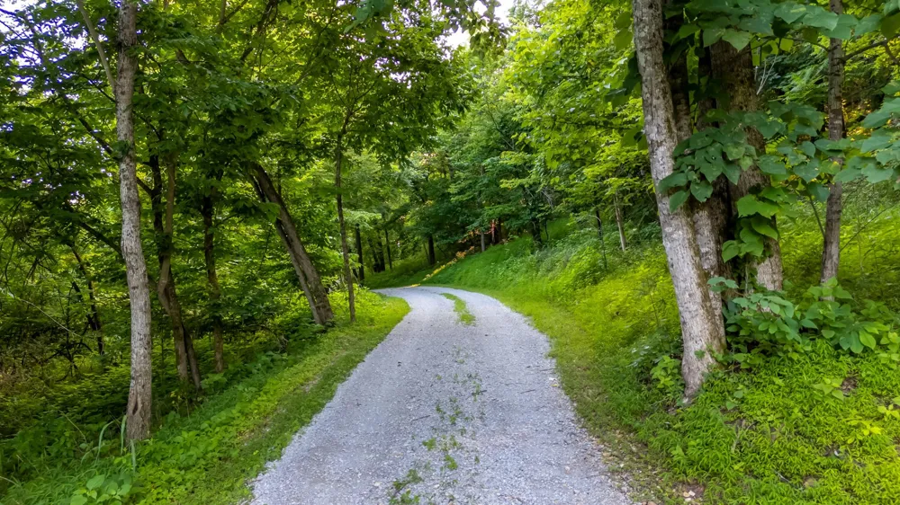 564 Mt Olive Cemetery Rd Lynnville, TN 38472