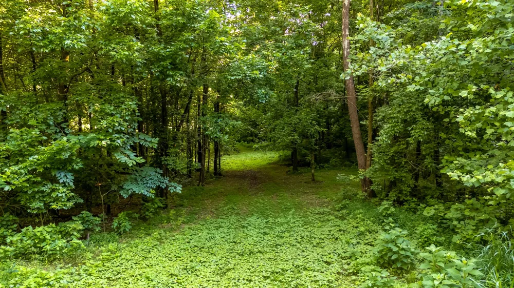 564 Mt Olive Cemetery Rd Lynnville, TN 38472