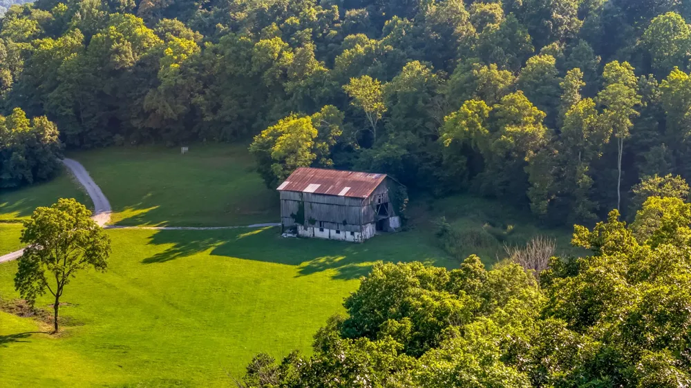 564 Mt Olive Cemetery Rd Lynnville, TN 38472