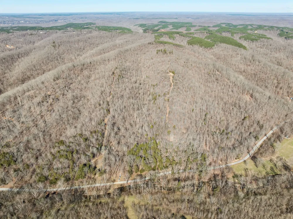 0 Hurricane Creek Road Linden, TN 37096