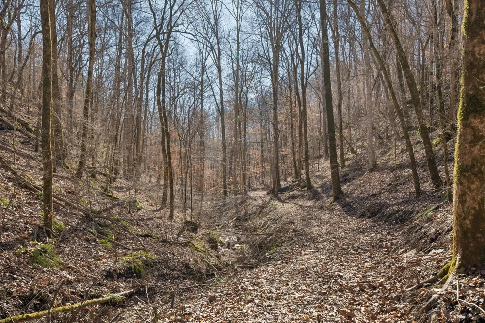 0 Hurricane Creek Road Linden, TN 37096