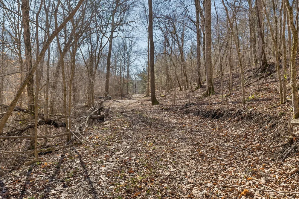 0 Hurricane Creek Road Linden, TN 37096