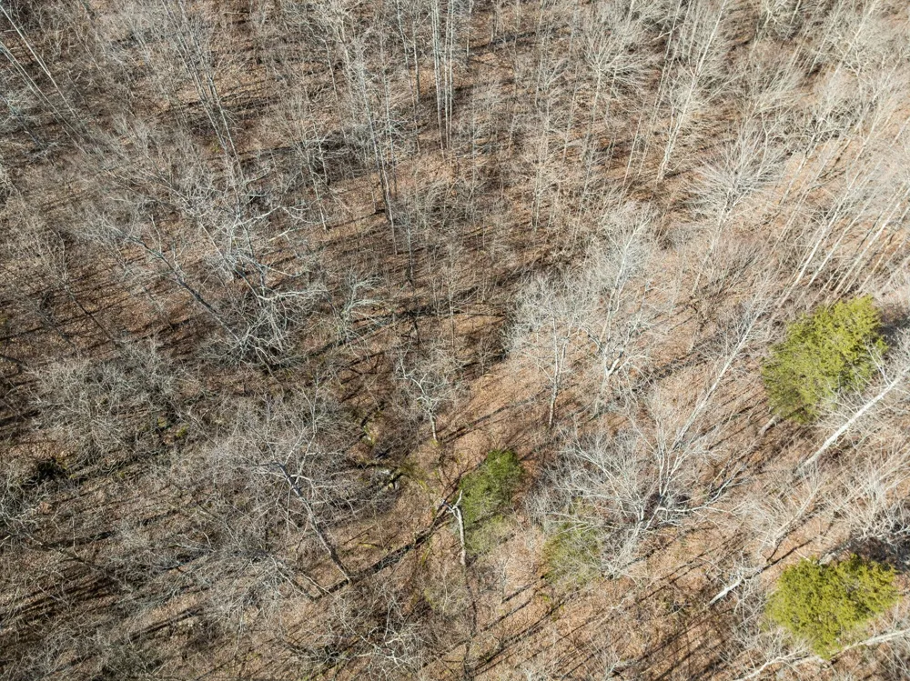 0 Hurricane Creek Road Linden, TN 37096