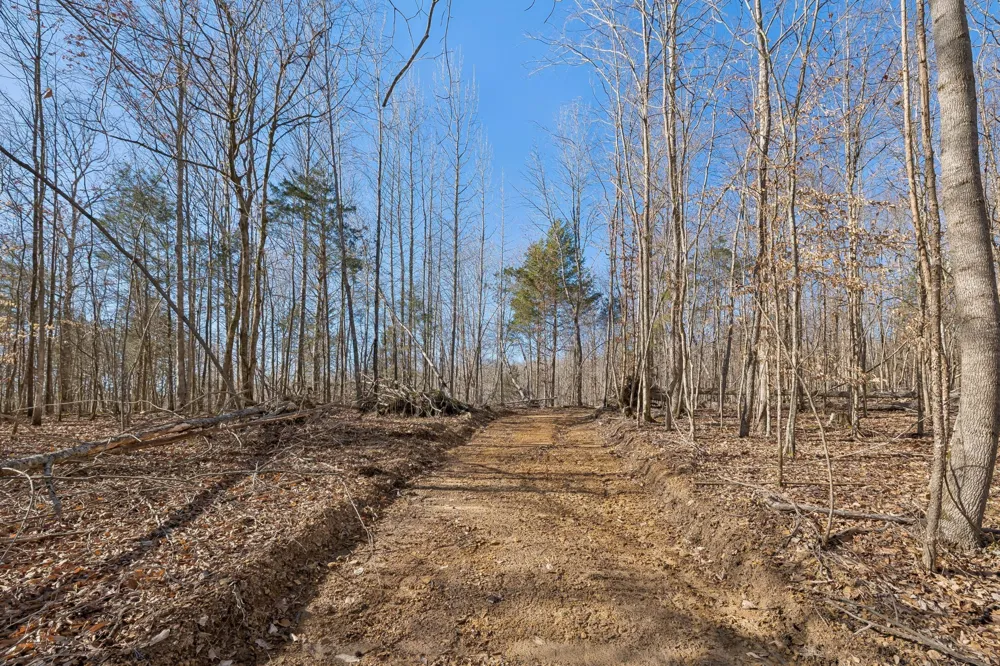 0 Hurricane Creek Road Linden, TN 37096