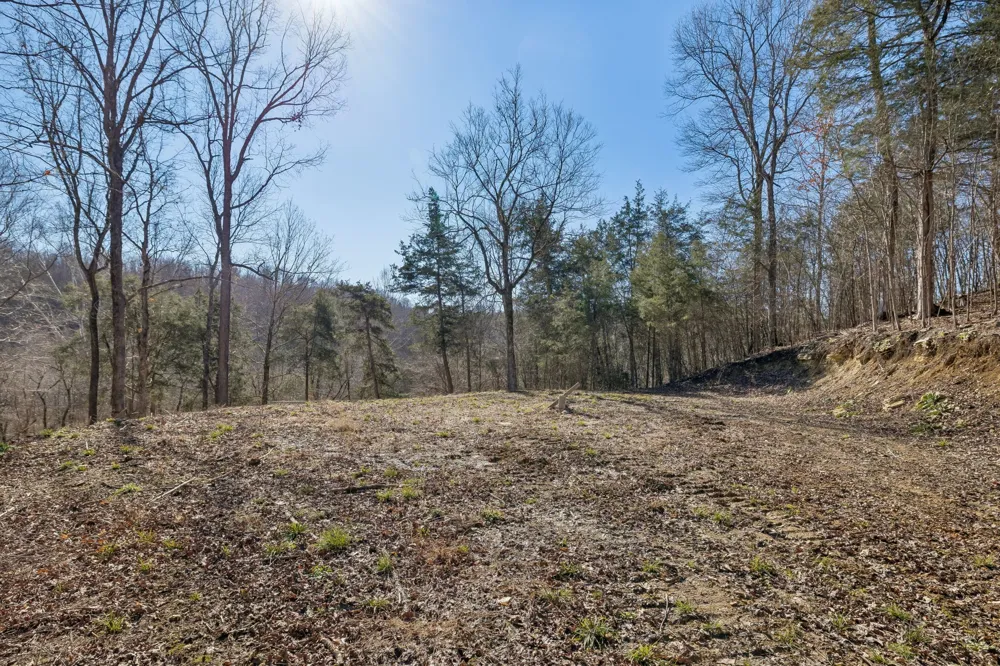 0 Hurricane Creek Road Linden, TN 37096
