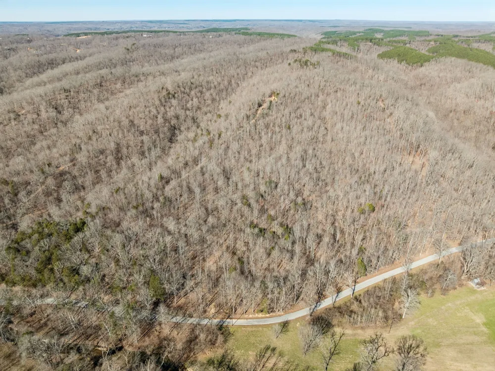 0 Hurricane Creek Road Linden, TN 37096