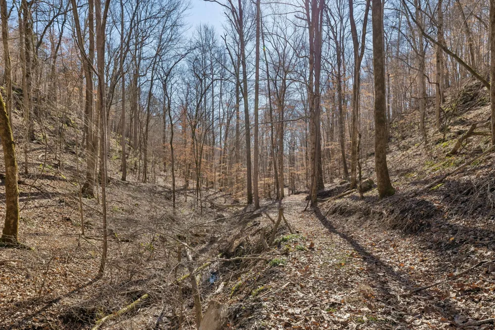 0 Hurricane Creek Road Linden, TN 37096