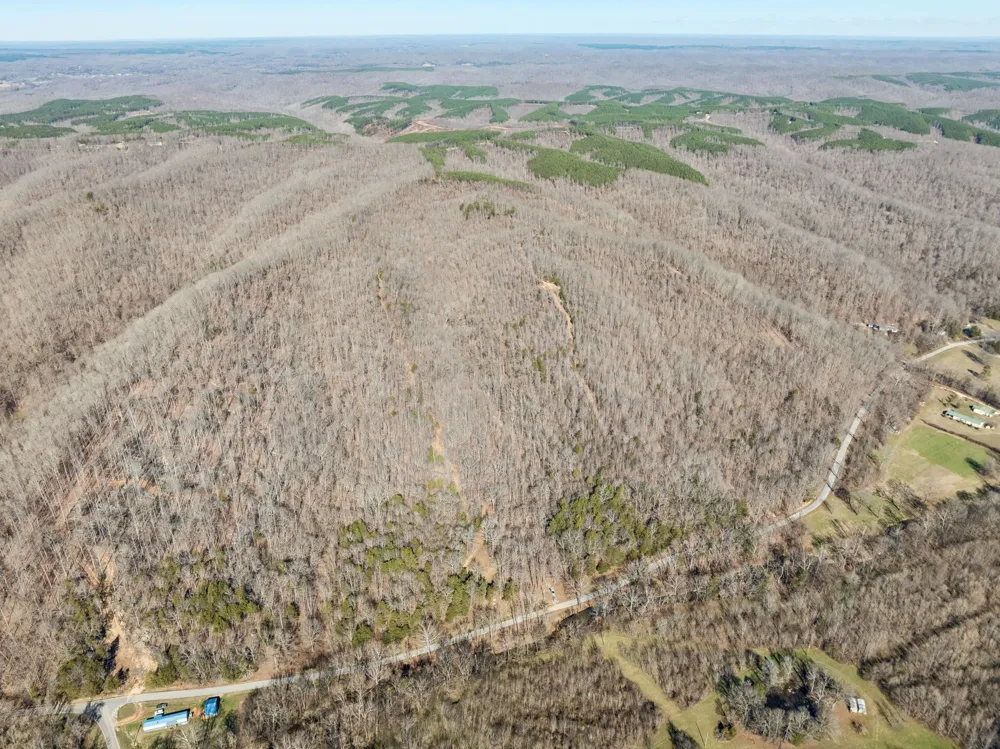 0 Hurricane Creek Road Linden, TN 37096