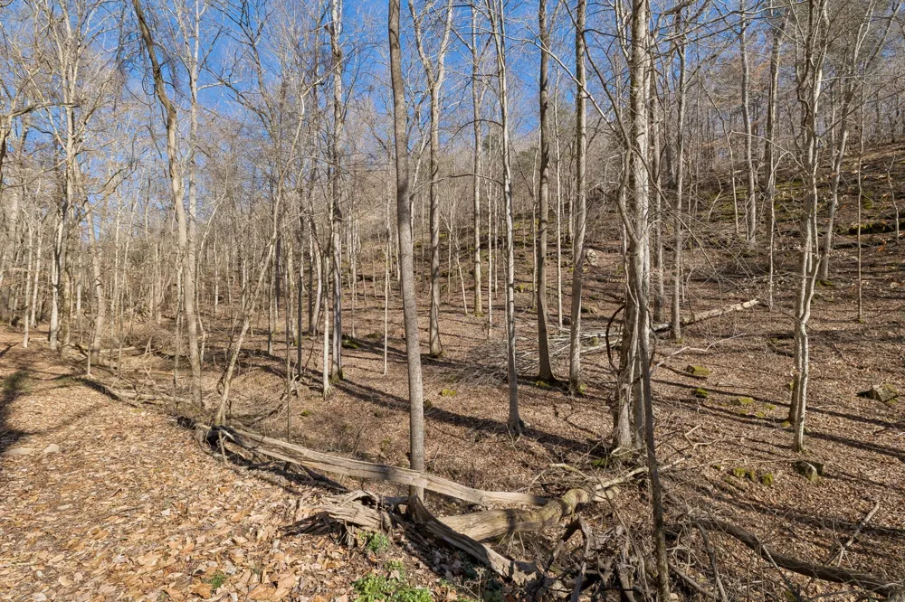 0 Hurricane Creek Road Linden, TN 37096