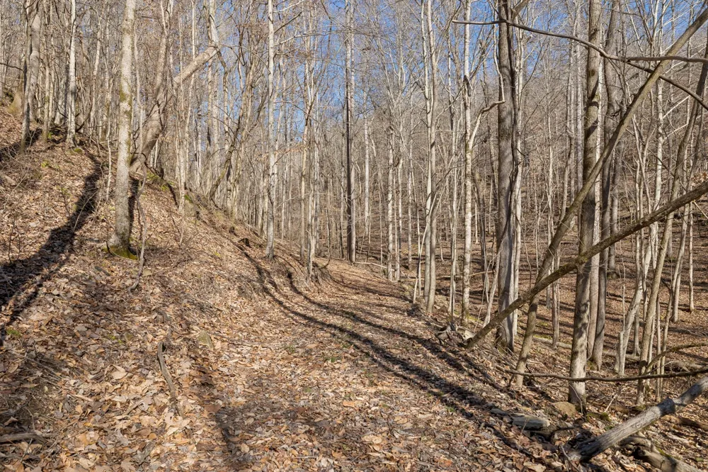 0 Hurricane Creek Road Linden, TN 37096