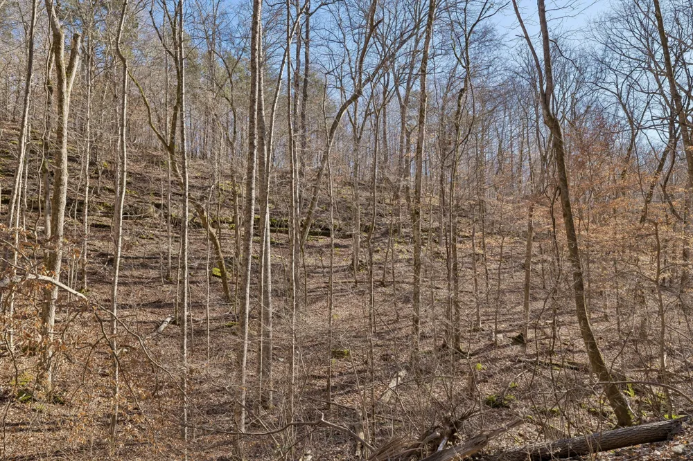 0 Hurricane Creek Road Linden, TN 37096