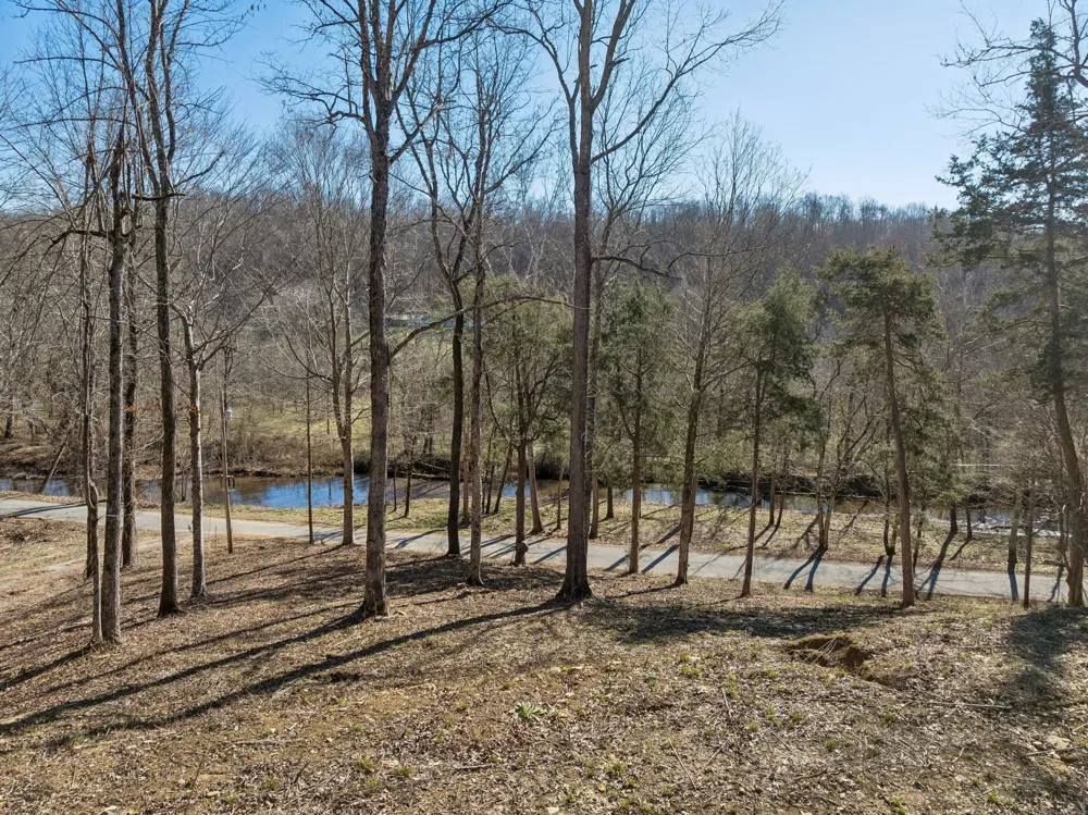 0 Hurricane Creek Road Linden, TN 37096