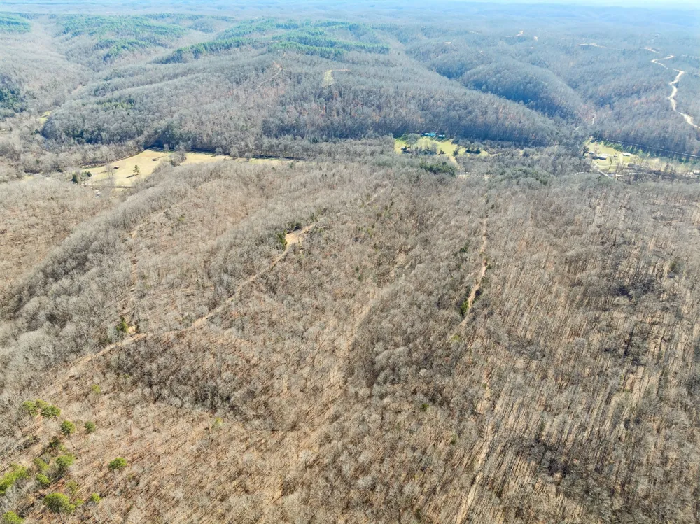 0 Hurricane Creek Road Linden, TN 37096