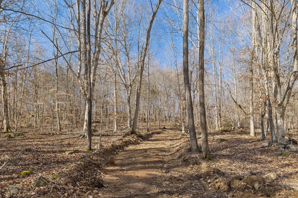 0 Hurricane Creek Road Linden, TN 37096
