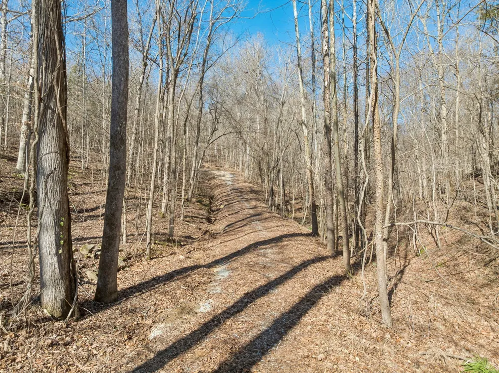 0 Hurricane Creek Road Linden, TN 37096