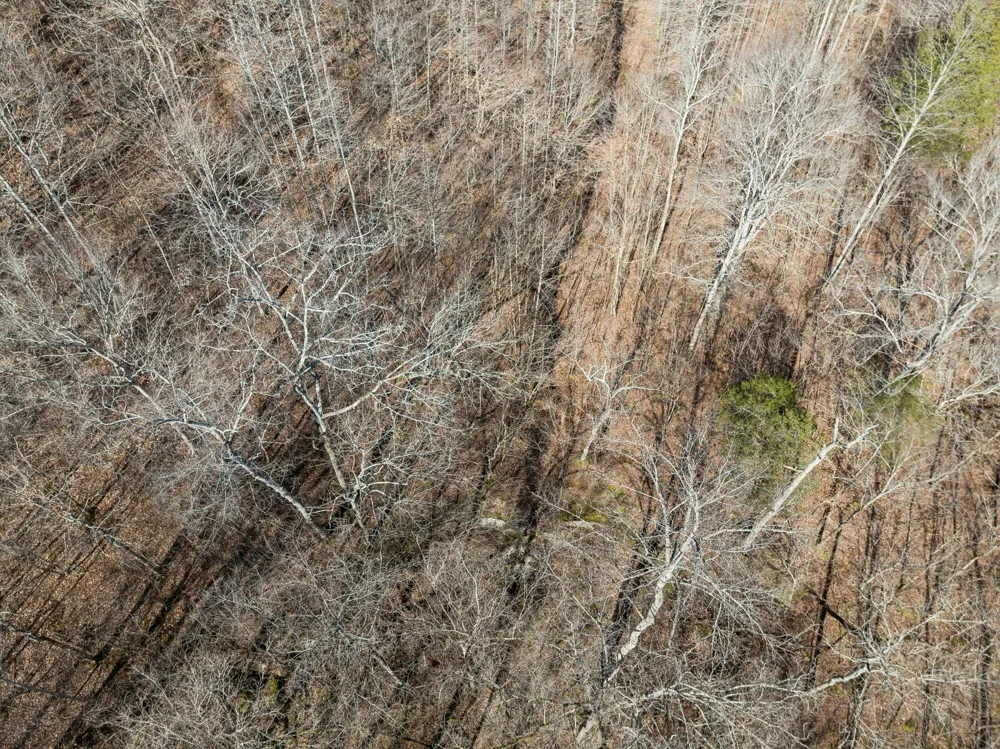 0 Hurricane Creek Road Linden, TN 37096