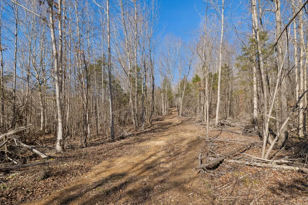 0 Hurricane Creek Road Linden, TN 37096