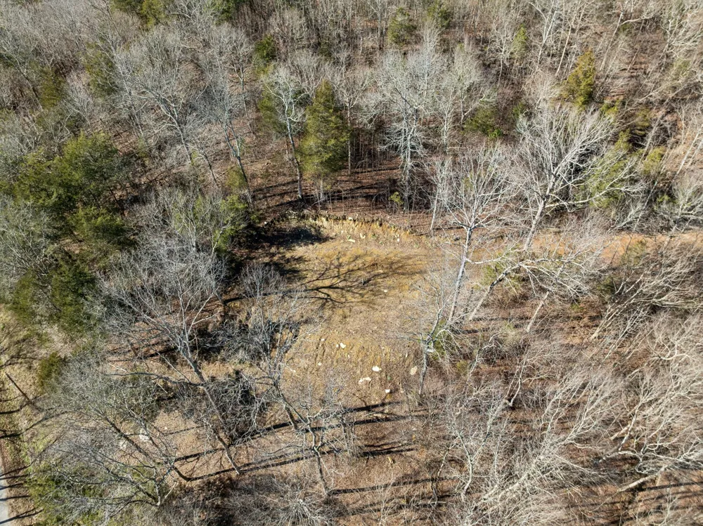 0 Hurricane Creek Road Linden, TN 37096