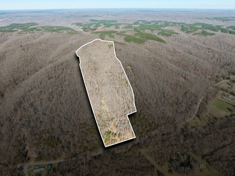 0 Hurricane Creek Road Linden, TN 37096