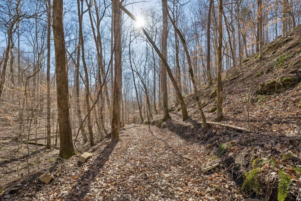 0 Hurricane Creek Road Linden, TN 37096